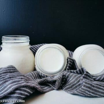 homemmade yogurt