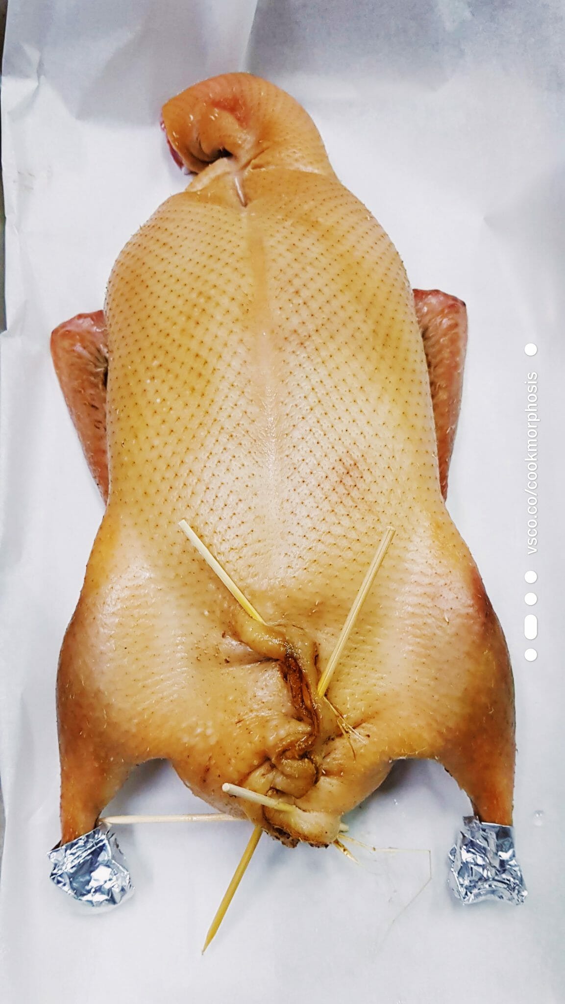 Asian Style Roasted Duck - COOKMORPHOSIS