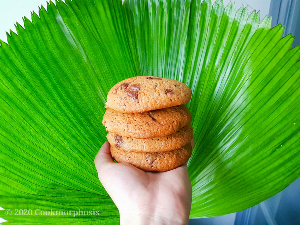 amazing chewy chocolate chip cookie with big green leaf in the background