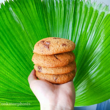 amazing chewy chocolate chip cookie with big green leaf in the background
