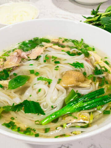 a bowl of chicken pho topped with cilantro, green onion and shredded chicken meat