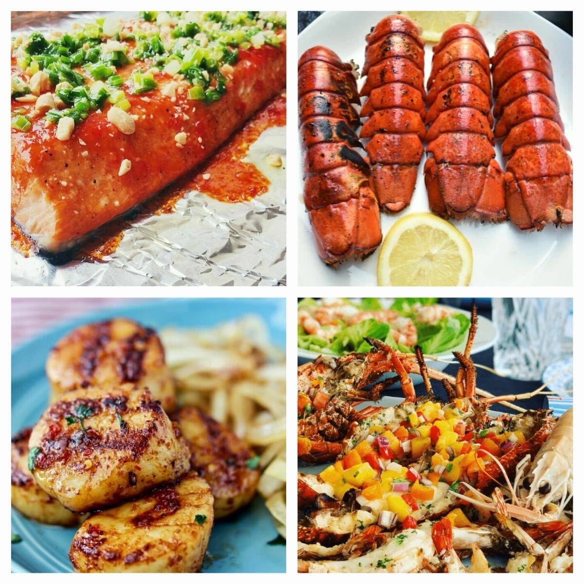 tasty and easy summer recipes with seafood: salmon, lobsters and scallops