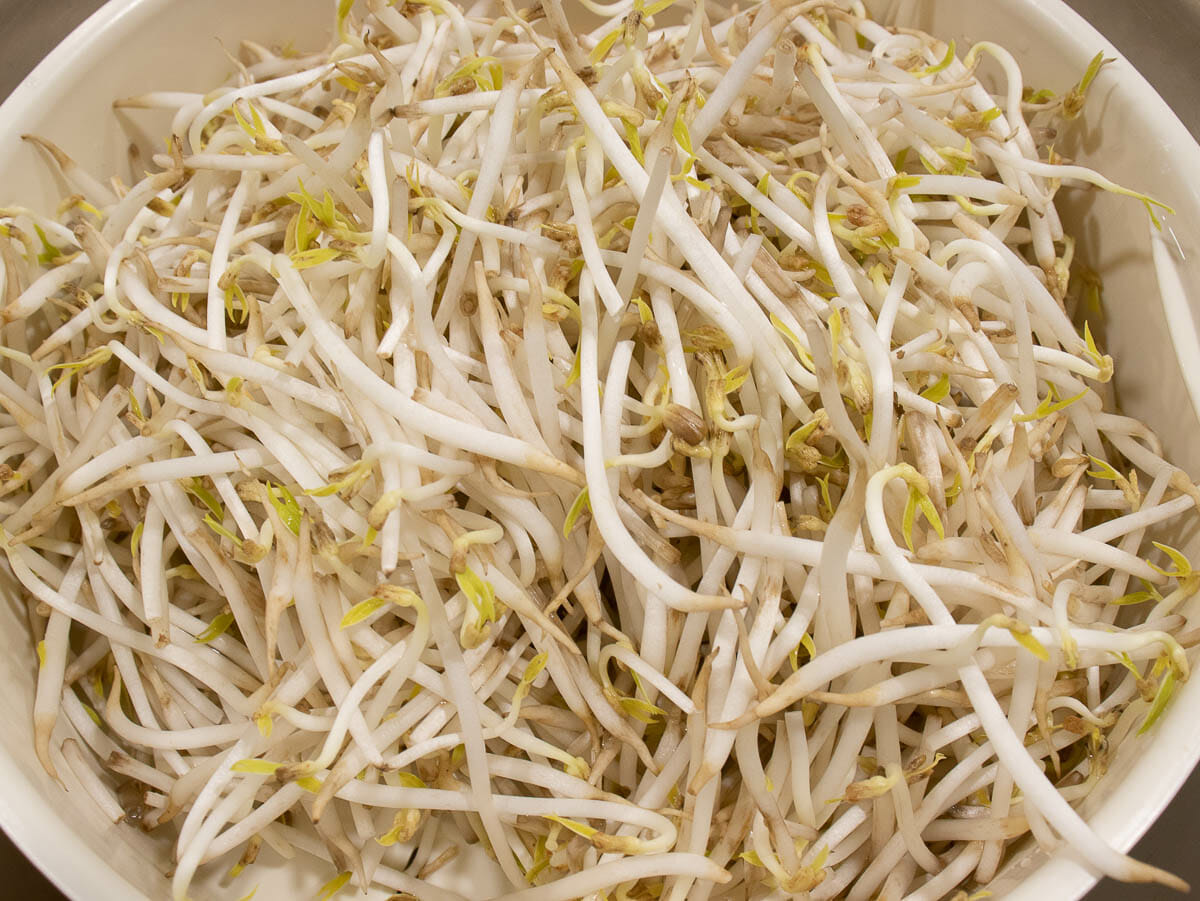 fresh beansprouts